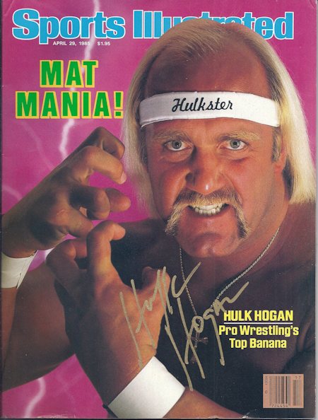 Hulk Hogan 450